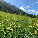 Daire Le Vieux Creton, Rhemes-Saint-Georges