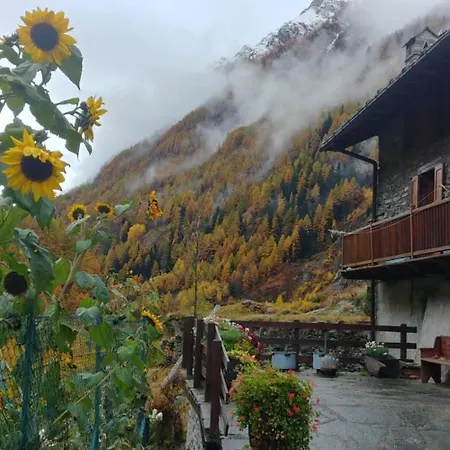 Le Vieux Creton, Rhêmes-saint-georges